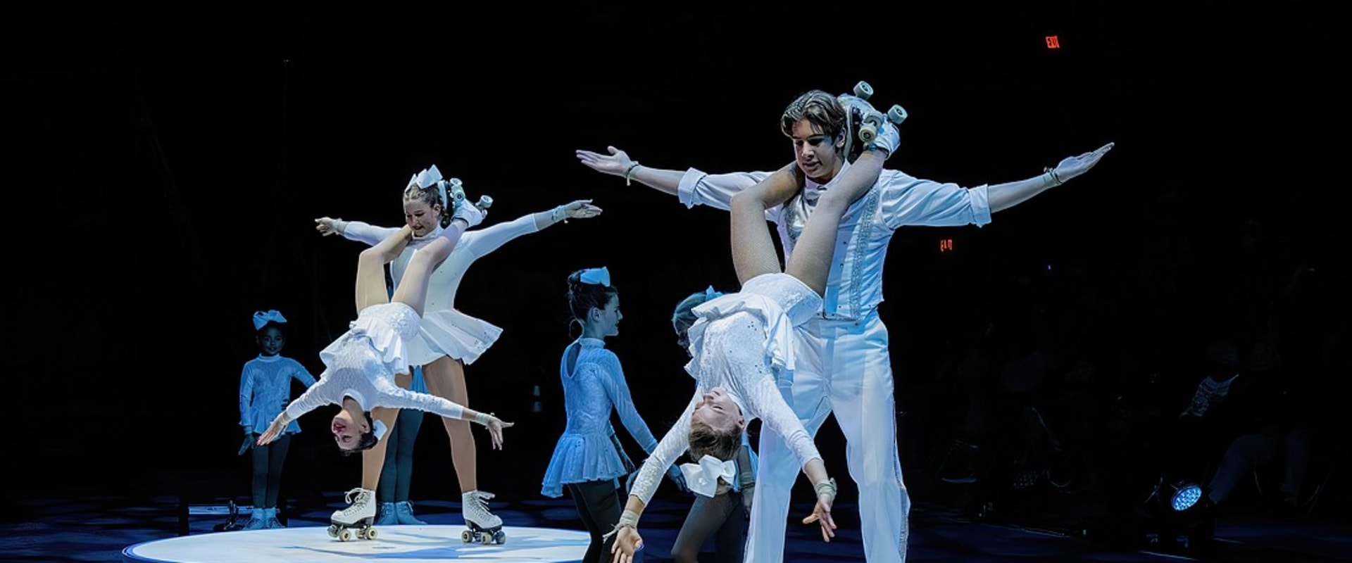 The Power of Partnerships in Driving the Success of Arts Organizations in Sarasota County, Florida