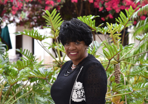 Engaging the Community: Fostering Inclusivity Through the Arts in Sarasota County, Florida